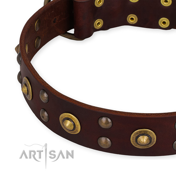 Leather collar with rust-proof fittings for your handsome four-legged friend