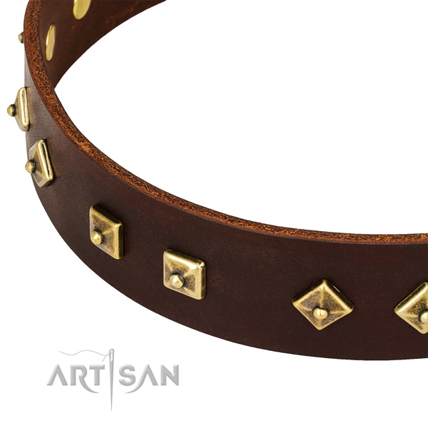 Adorned leather collar for your handsome pet