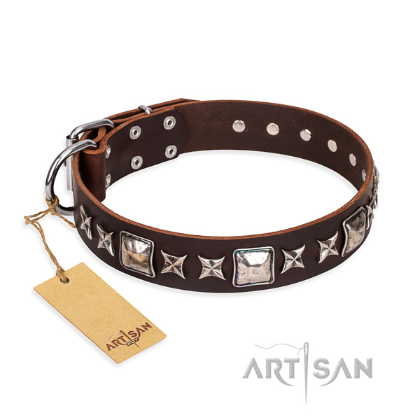 Everyday use dog collar of strong leather with studs