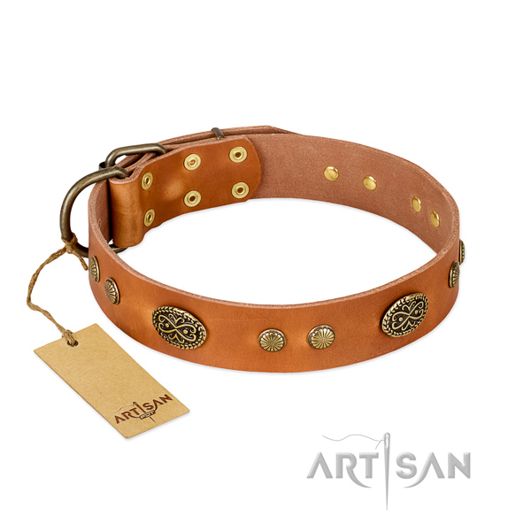 Reliable D-ring on leather dog collar for your pet