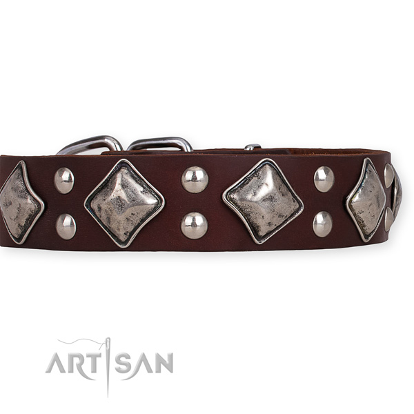 Full grain genuine leather dog collar with designer corrosion proof decorations