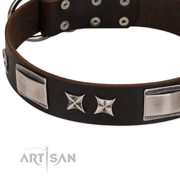 Top notch collar of full grain genuine leather for your attractive dog