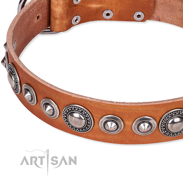 Daily walking decorated dog collar of top notch full grain leather