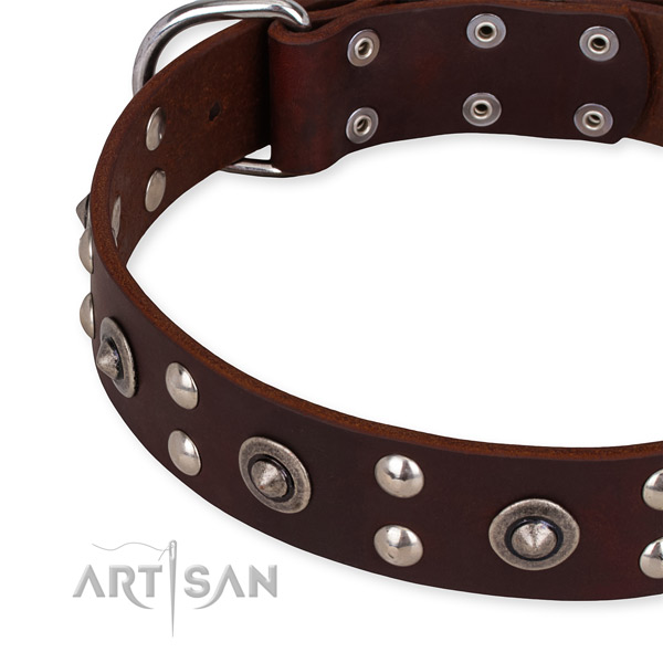 Full grain natural leather collar with corrosion resistant hardware for your impressive canine
