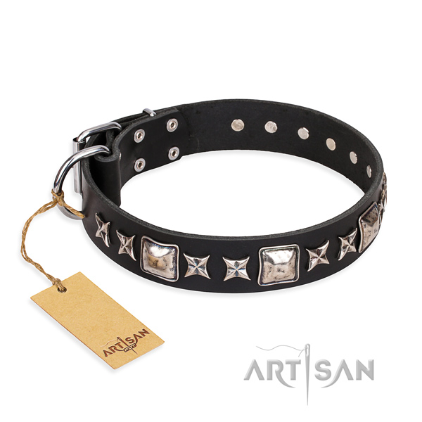 Comfy wearing dog collar of finest quality full grain natural leather with studs