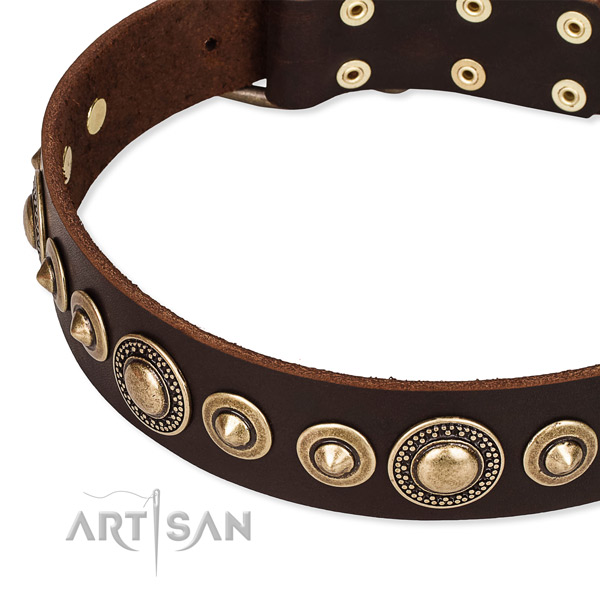 High quality full grain leather dog collar created for your impressive four-legged friend