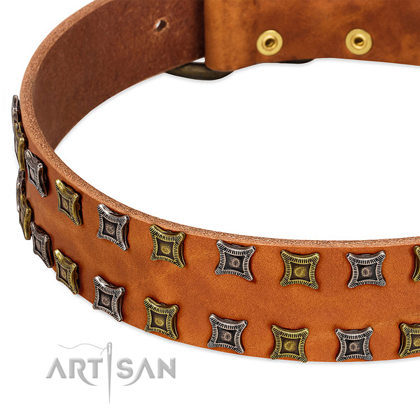 High quality natural leather dog collar for your beautiful dog