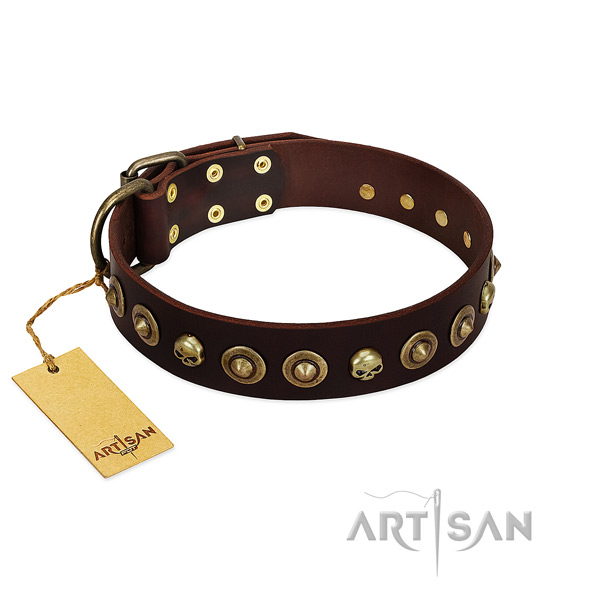 Genuine leather collar with unique adornments for your doggie