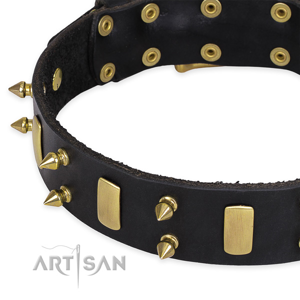Walking studded dog collar of strong full grain natural leather