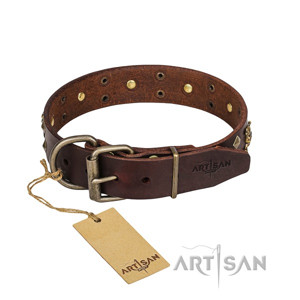 Walking dog collar of high quality leather with adornments