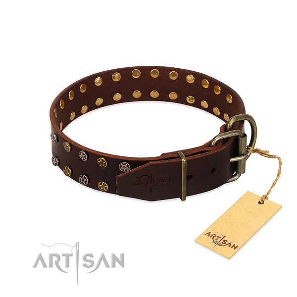 Comfy wearing full grain leather dog collar with trendy embellishments