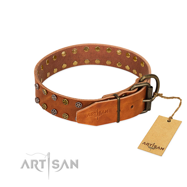 Stylish walking full grain leather dog collar with extraordinary embellishments