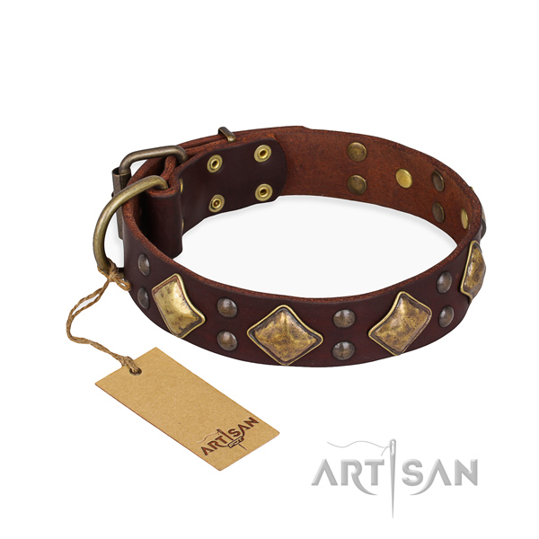 Basic training awesome dog collar with rust resistant hardware