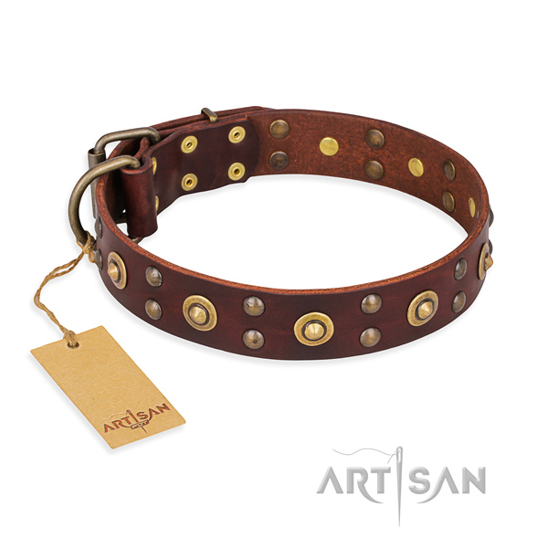 Stunning leather dog collar with rust-proof D-ring