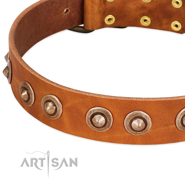 Durable embellishments on full grain genuine leather dog collar for your canine