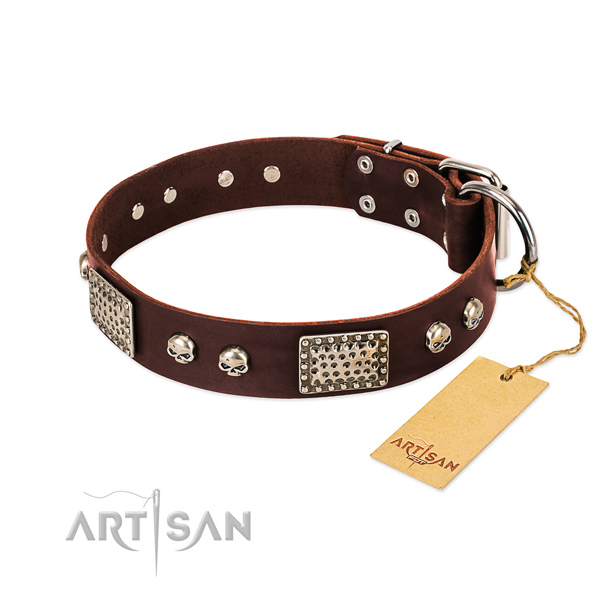 Adjustable leather dog collar for stylish walking your doggie