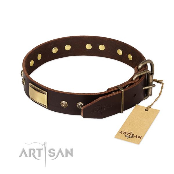 Extraordinary genuine leather collar for your doggie