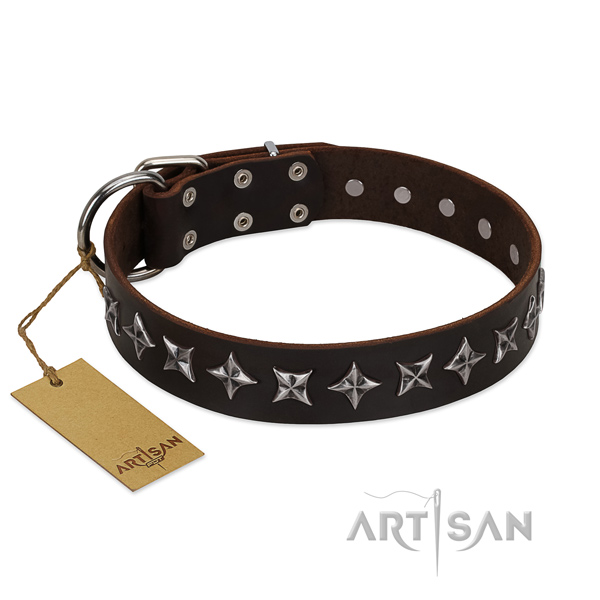 Everyday walking dog collar of high quality leather with decorations