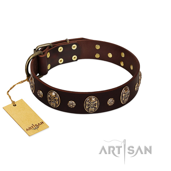 Exquisite full grain leather collar for your dog