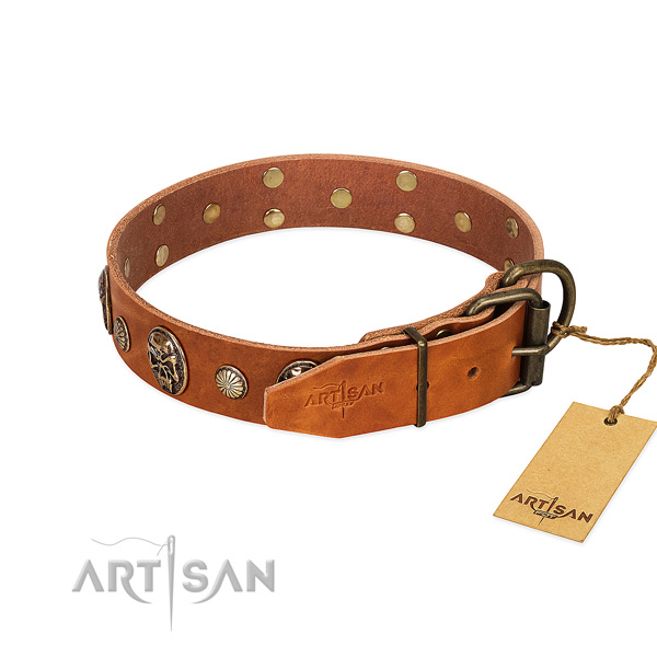 Corrosion proof hardware on full grain genuine leather collar for everyday walking your four-legged friend