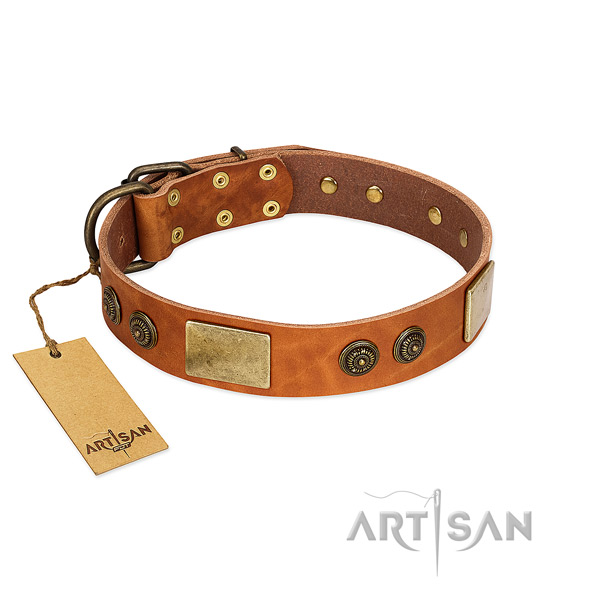 Easy adjustable leather dog collar for everyday use