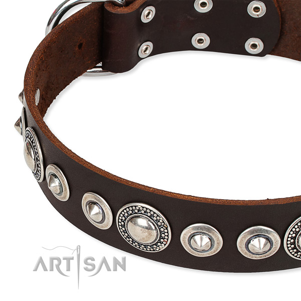 Daily use embellished dog collar of best quality full grain leather