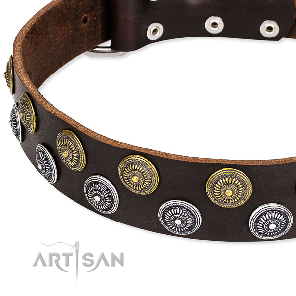 Comfy wearing studded dog collar of fine quality genuine leather