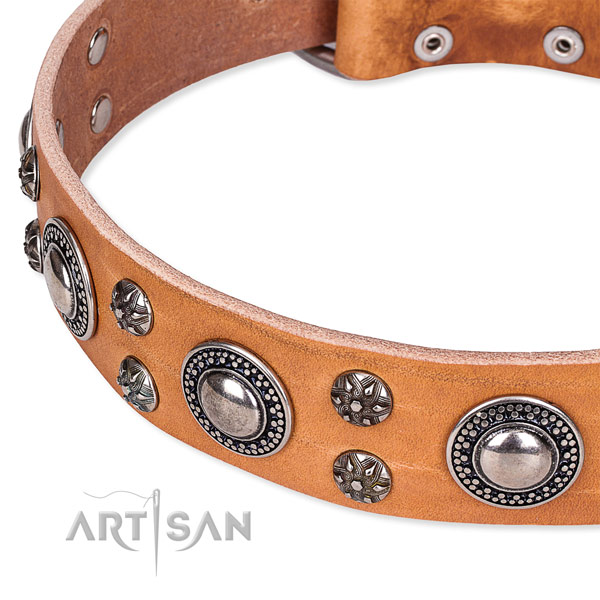 Daily use adorned dog collar of strong full grain genuine leather