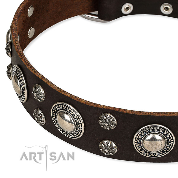 Fancy walking decorated dog collar of top notch full grain natural leather