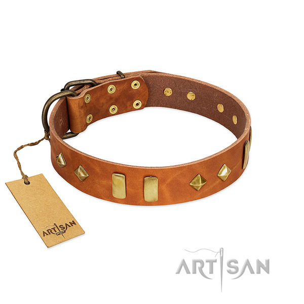 Daily use top rate full grain genuine leather dog collar with embellishments