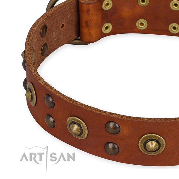 Genuine leather collar with corrosion proof buckle for your attractive pet
