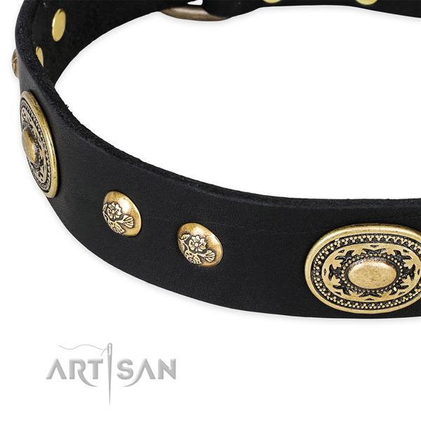 Fashionable leather collar for your attractive canine