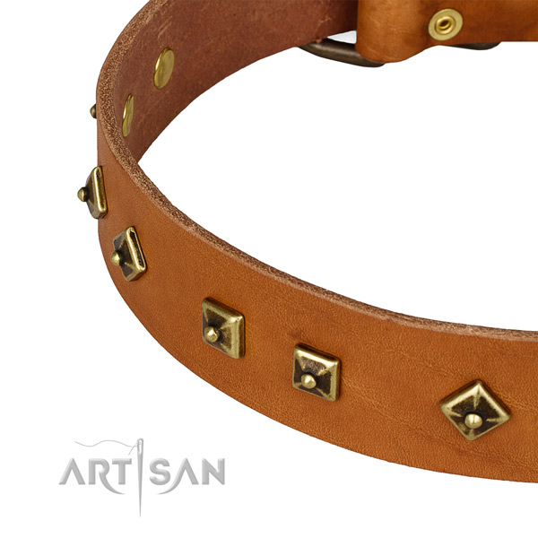 Top notch natural leather collar for your impressive four-legged friend