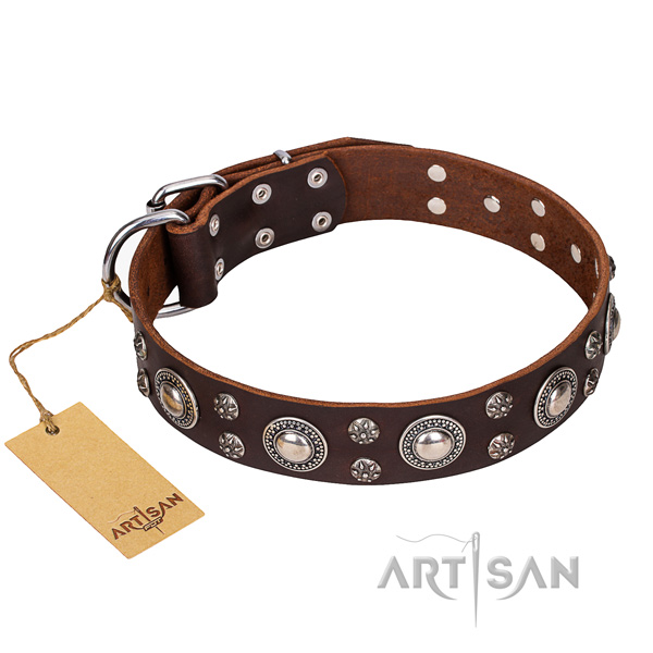 Basic training dog collar of top quality full grain natural leather with decorations