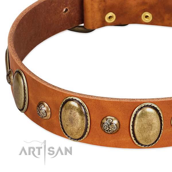 Full grain leather dog collar with trendy decorations