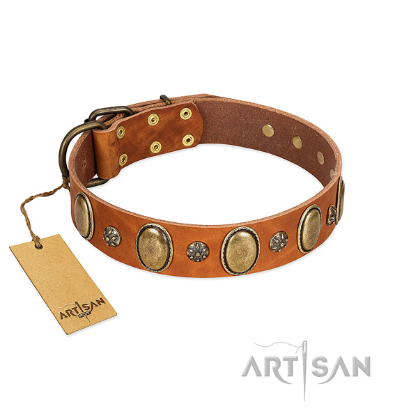 Comfortable wearing best quality genuine leather dog collar with adornments