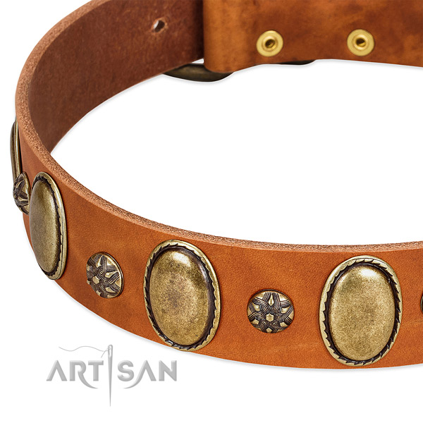 Daily use soft genuine leather dog collar