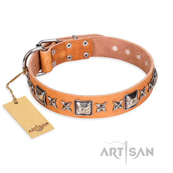 Fancy walking dog collar of durable full grain natural leather with adornments