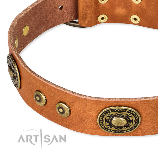 Leather dog collar made of soft to touch material with embellishments