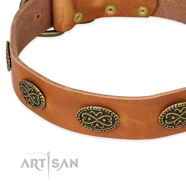 Stylish full grain natural leather collar for your impressive dog