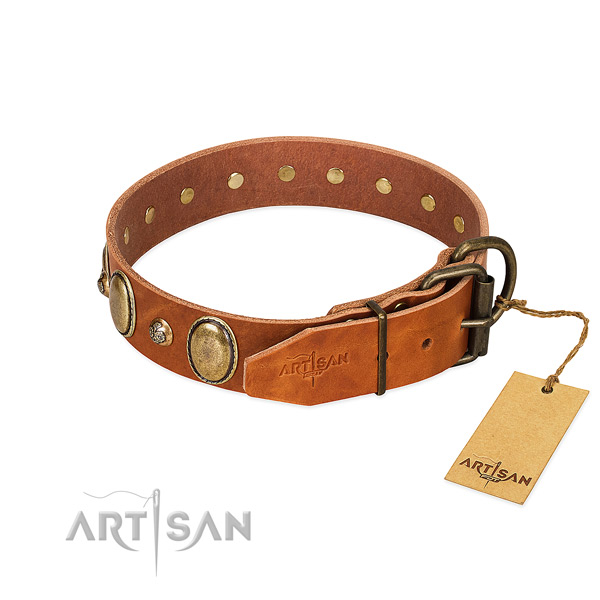 Stylish walking leather dog collar