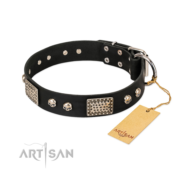 Easy wearing full grain natural leather dog collar for everyday walking your four-legged friend