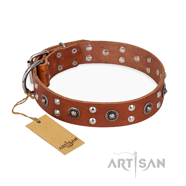 Easy wearing stunning dog collar with corrosion proof hardware