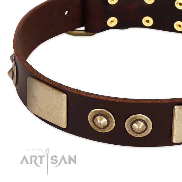 Corrosion proof fittings on leather dog collar for your canine
