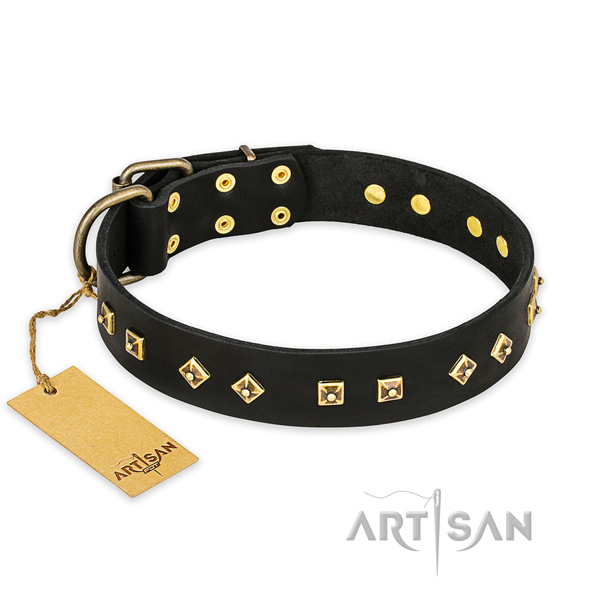 Trendy full grain natural leather dog collar with rust resistant traditional buckle