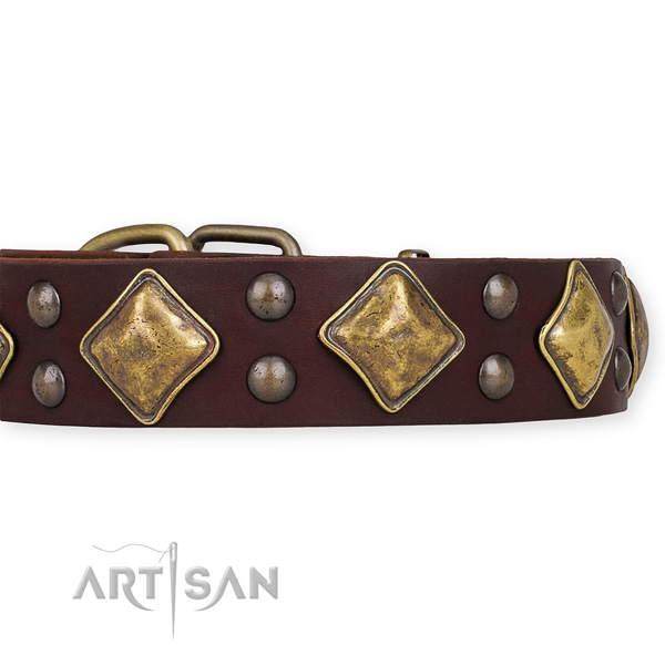 Genuine leather dog collar with incredible rust resistant decorations