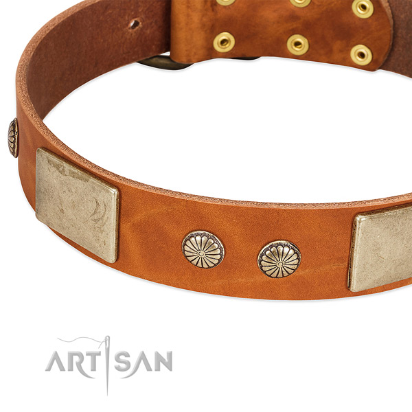 Rust-proof buckle on full grain natural leather dog collar for your dog