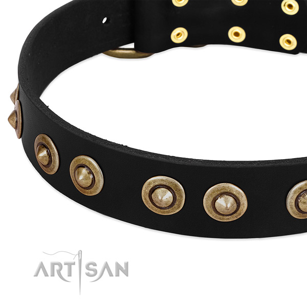 Reliable studs on genuine leather dog collar for your doggie