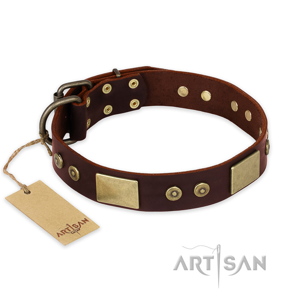 Significant full grain leather dog collar for daily walking