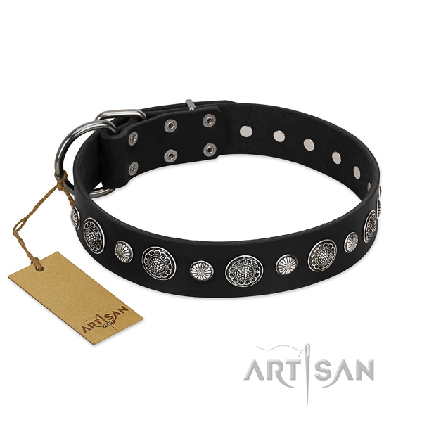 Finest quality genuine leather dog collar with stunning adornments